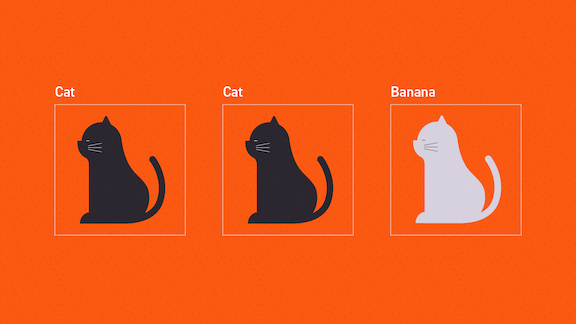 Illustration of two black cats labeled as cats, one white cat labeled as banana