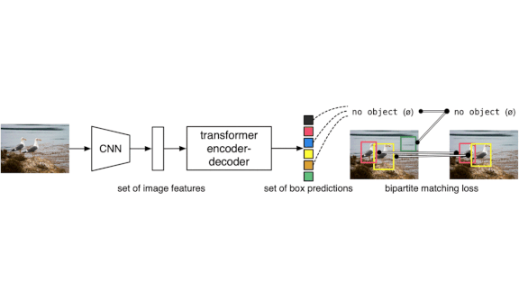 Examples of detection of animals in images using Detection Transformer (DETR).