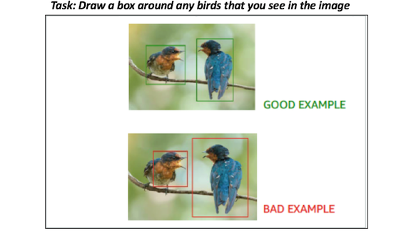 Good and bad examples of labeling images with pictures of birds