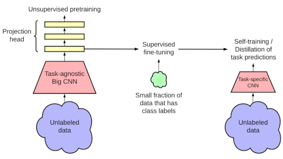 Graphs comparing SimCLR to SimCLRv2
