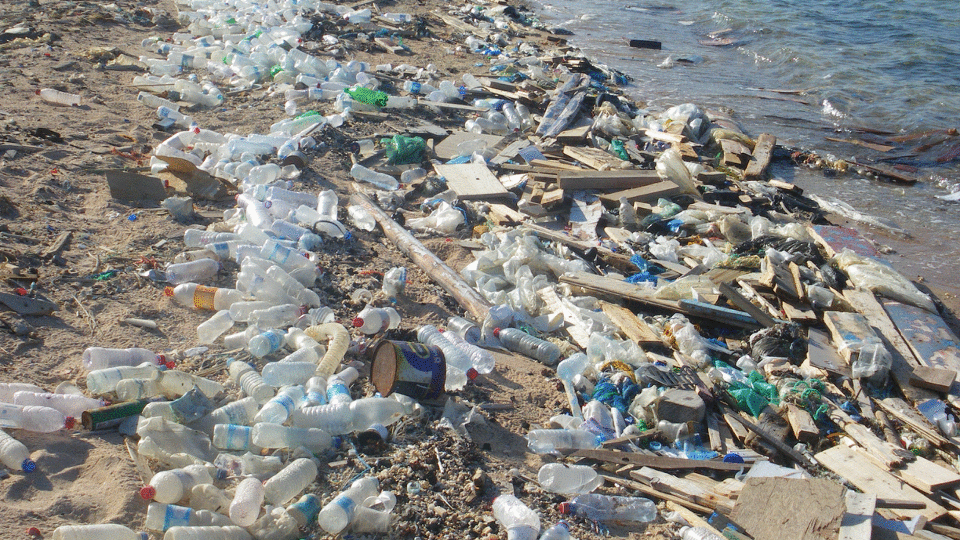 Beaches buried in plastic and garbage